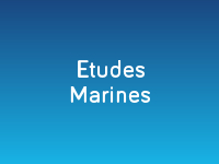 Etudes marines